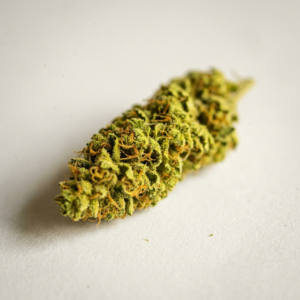 Sunbeam Haze – Cannovo Dried Cannabis Flower