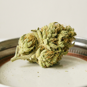 Amnesia Haze – Cannovo Dried Cannabis Flower