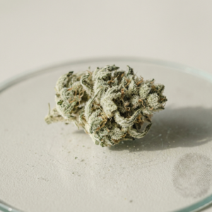 White Widow – Cannovo Dried Cannabis Flower