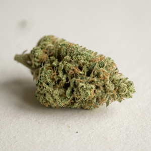 Jack Herer – Cannovo Dried Cannabis Flower