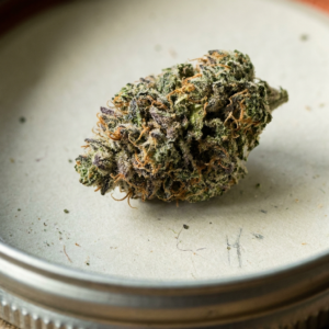 Zkittlez – Cannovo Dried Cannabis Flower