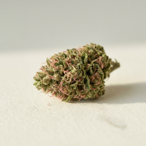 Strawberry Cough – Cannovo Dried Cannabis Flower